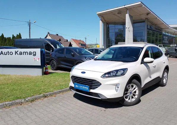 ford pniewy Ford Kuga cena 102000 przebieg: 65000, rok produkcji 2020 z Pniewy